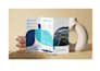 design a professional business flyer and brochure